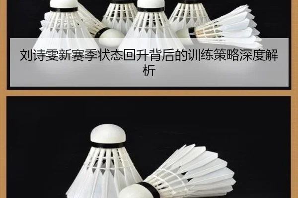 刘诗雯新赛季状态回升背后的训练策略深度解析